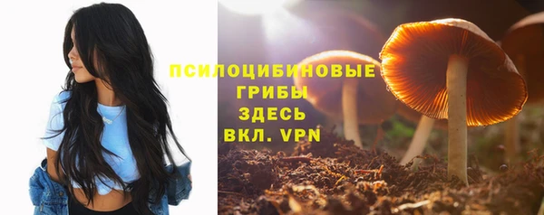 дмт Баксан