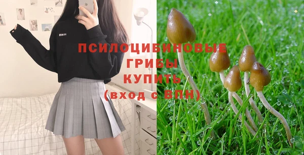 экстази Арсеньев
