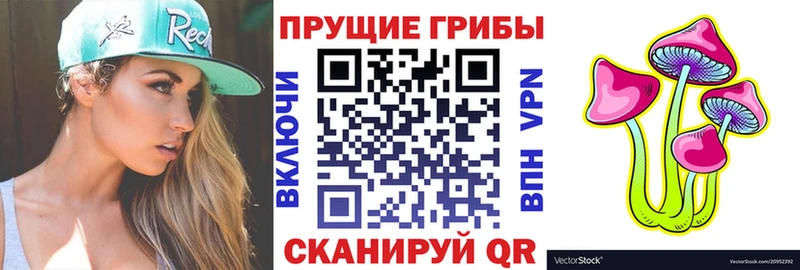 Псилоцибиновые грибы Cubensis  ОМГ ОМГ зеркало  Белая Холуница  хочу наркоту 